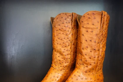 Ostrich Boots