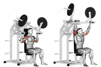 Shoulder Press Machine