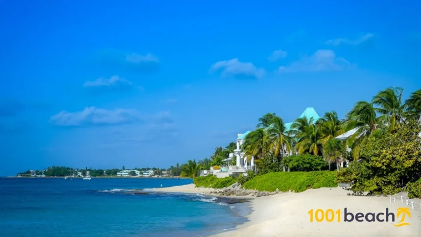 Siesta Key Beach Live Cam