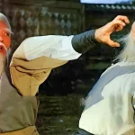 8 Immortals Kung Fu Lessons