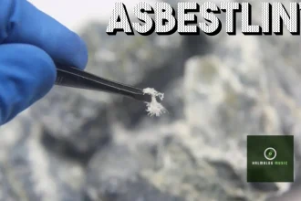 What is Asbestlint?