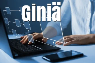Giniä