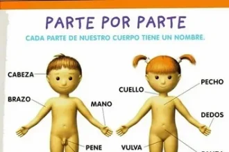 Jamiemaratx: quién es, controversias y realidad detrás del nombre