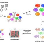 Perturbseq crispr data analysis tutorial