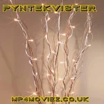 Pyntekvister: A Charming Blend of Nature and Nordic Style