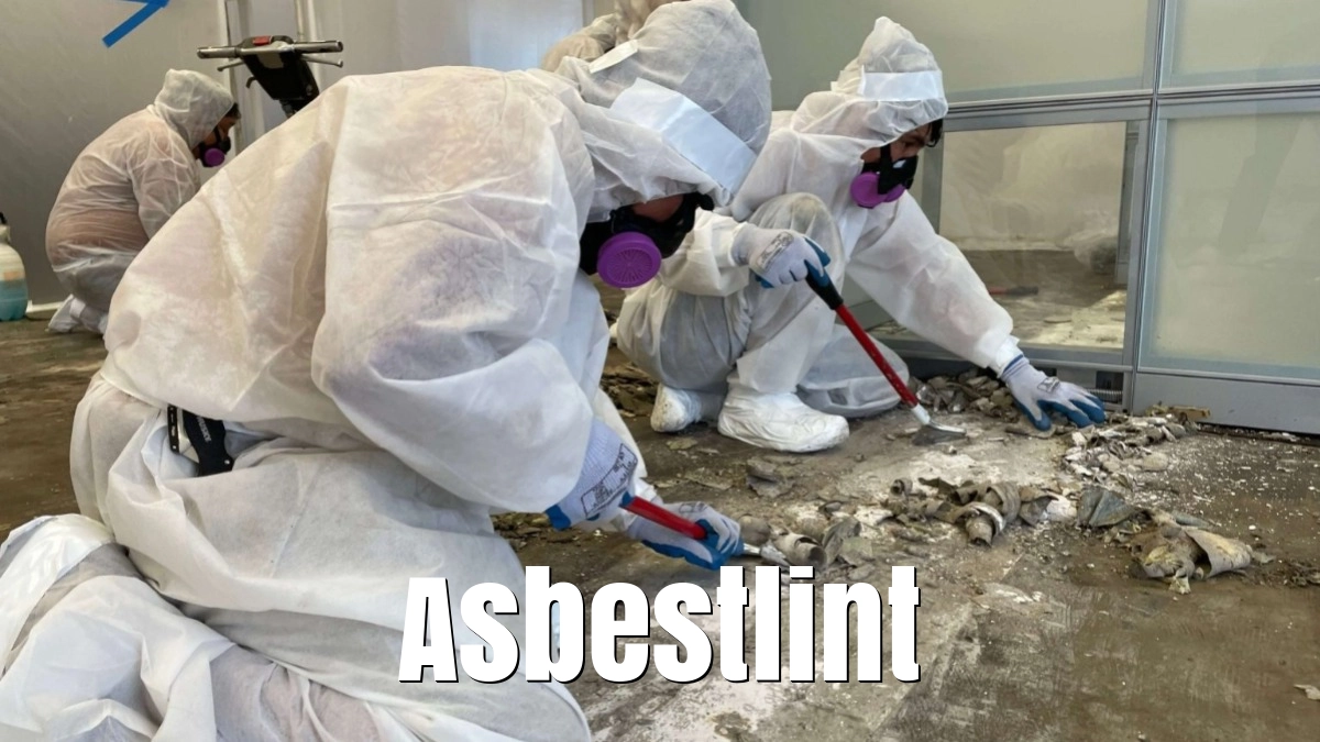 Asbestlint: A Hidden Danger Lurking in Buildings