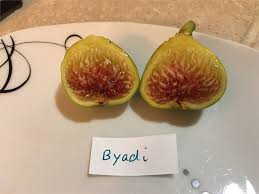 byadi