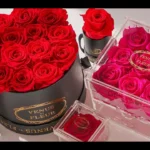 Rosboxar: From Luxury Rose Boxes to Digital Symbolism
