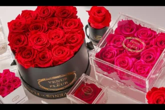 Rosboxar: From Luxury Rose Boxes to Digital Symbolism