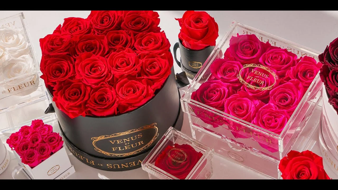 Rosboxar: From Luxury Rose Boxes to Digital Symbolism