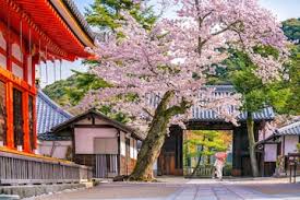 Sakura Temple by CLGPlayz