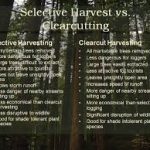 Seed tree logging pros and cons
