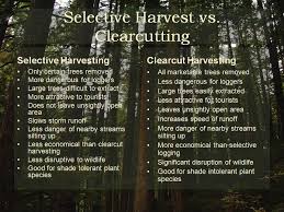 Seed tree logging pros and cons