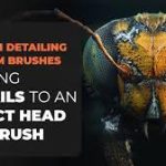 ZBrush Insect Skin Texture Files for Free