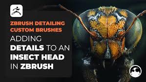 ZBrush Insect Skin Texture Files for Free