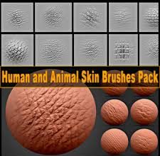 Zbrush insect skin texture psd files for free